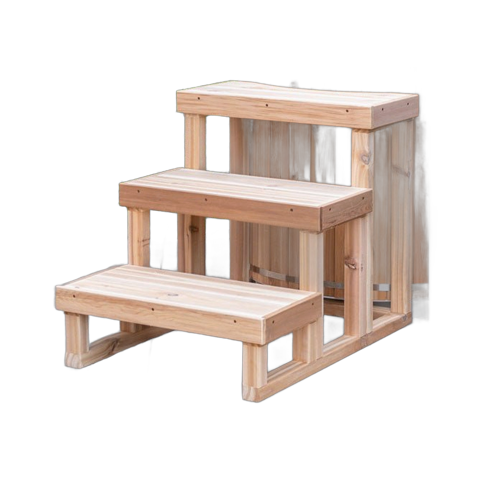 Polar Plunge Cedar Steps