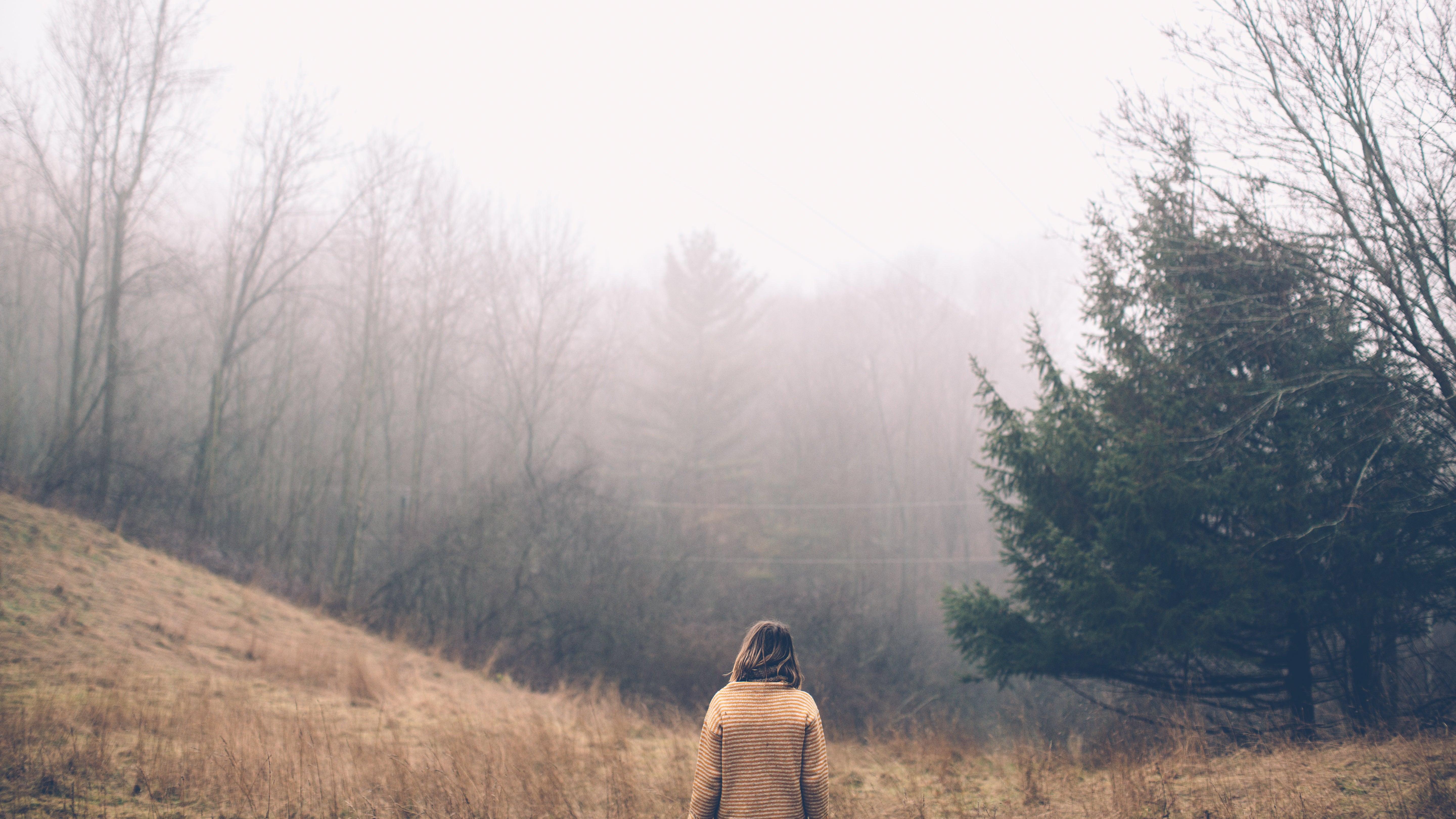 burst-foggy-forest-hike